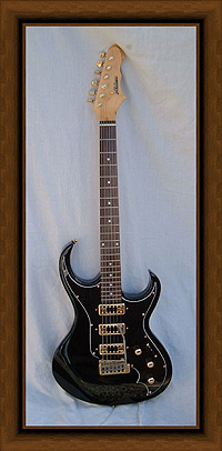 Alden Bison electric guitar