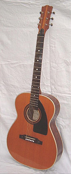 Eko guitar