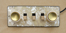 Hofner guitar parts - tortoiseshell control panel